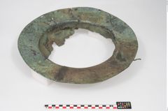 Foto von Bronzebreitrandschale (NHMW-PRAE-025899)